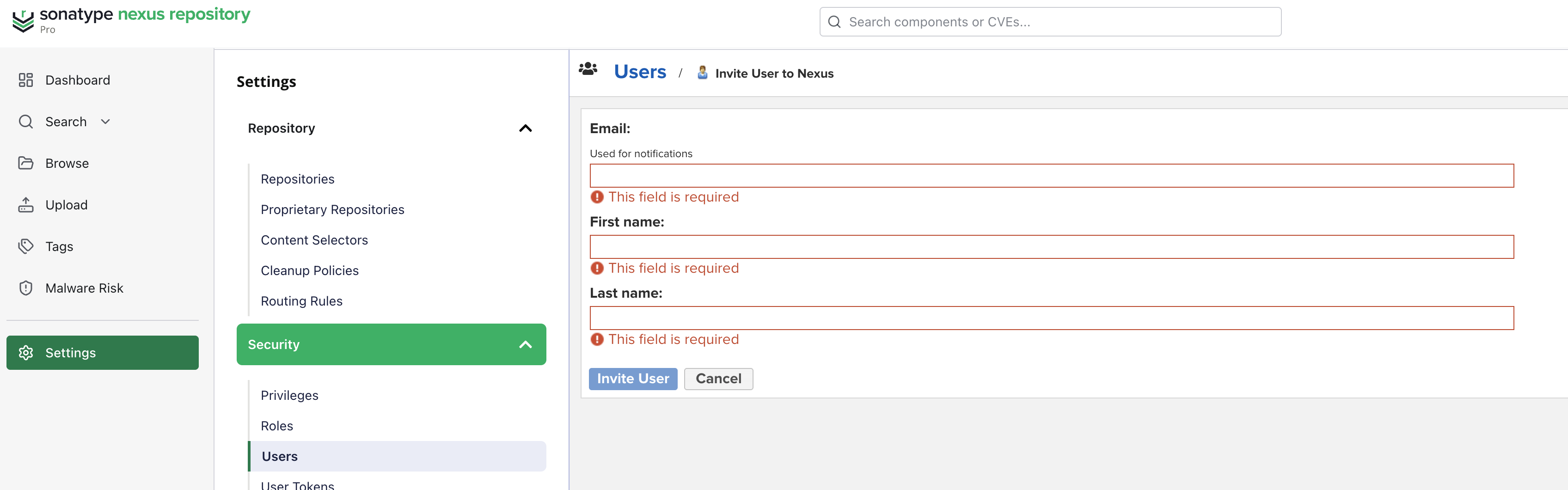 UI screen for Nexus Repository Cloud - Invite a User