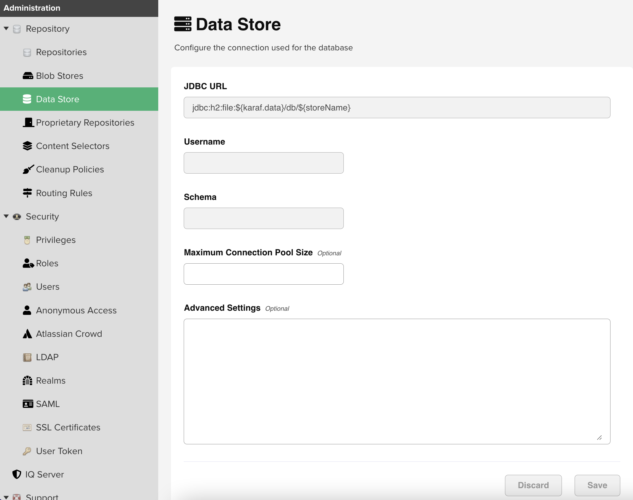 Data store screen with JDBC URL, Username, Schema, Maximum Connection Pool Size, and Advanced Settings fields