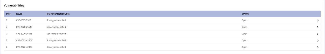 Vulnerabilities_table_wo_confidence.png